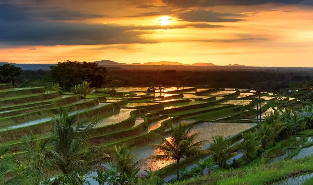 Active Bali Adventure