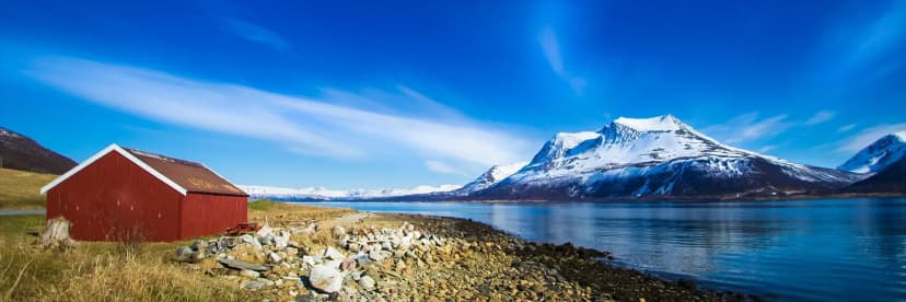 Arctic