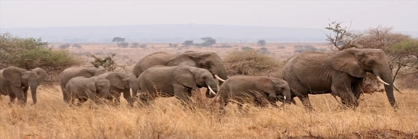 Tanzania