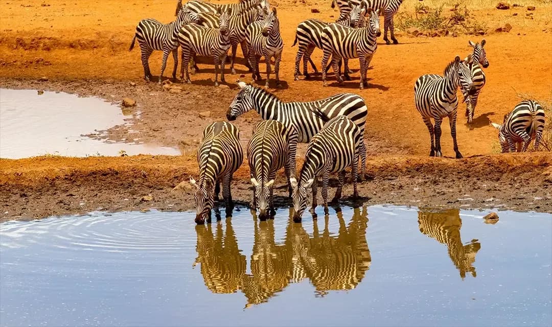 Why Visit South Africa