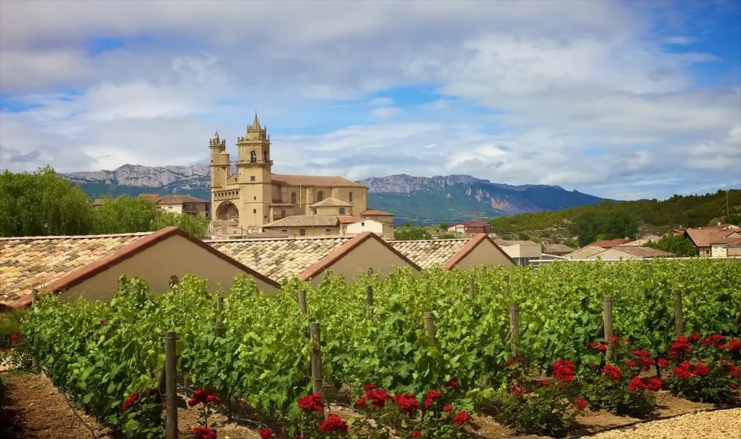 Why Visit Spain?