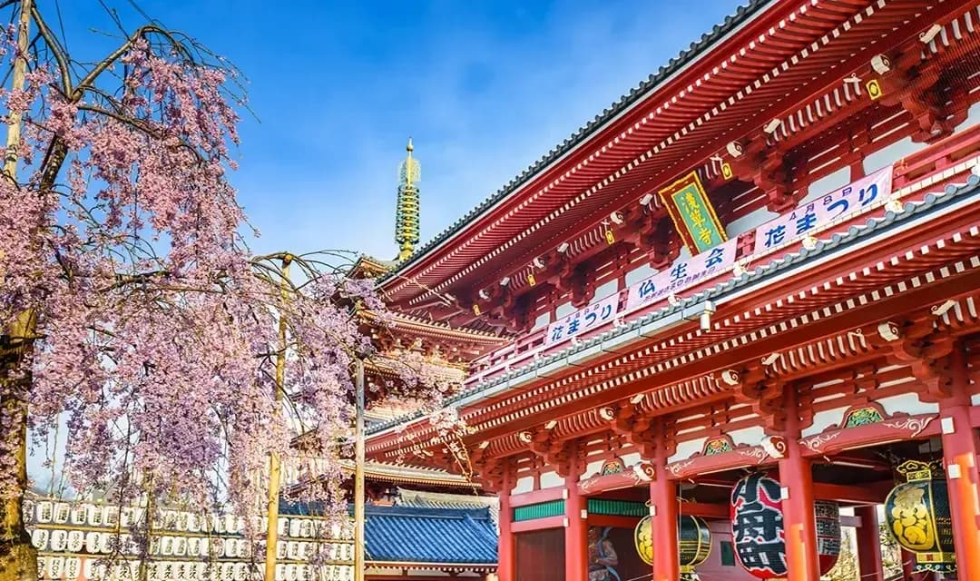 Why Visit Japan?