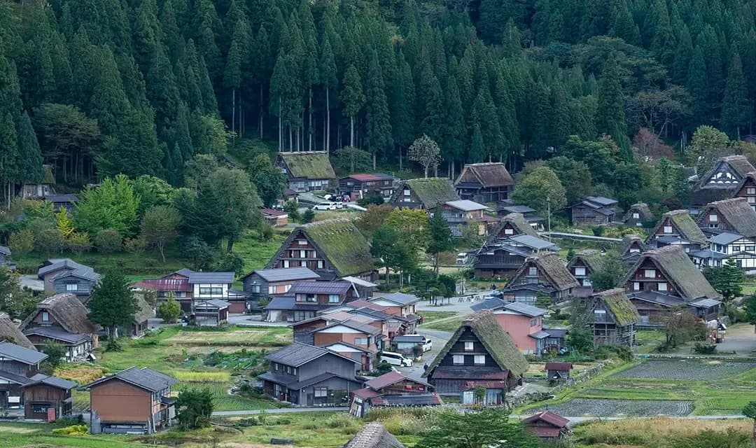 Why Visit Japan?
