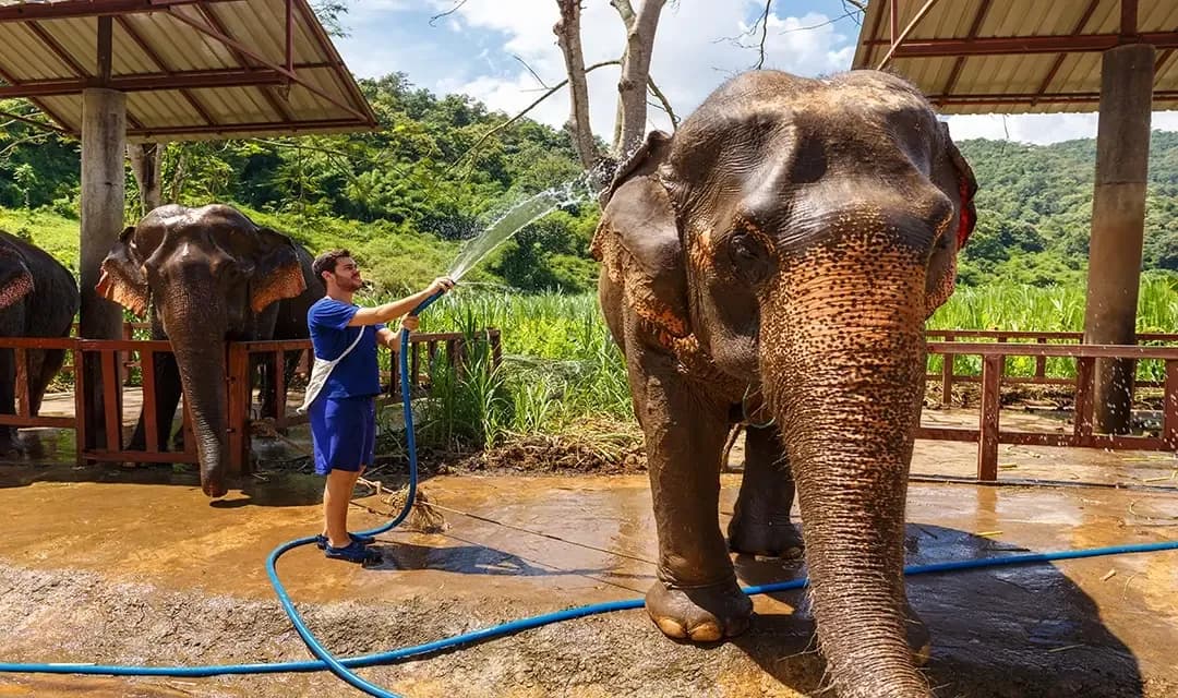 Why Visit Thailand?