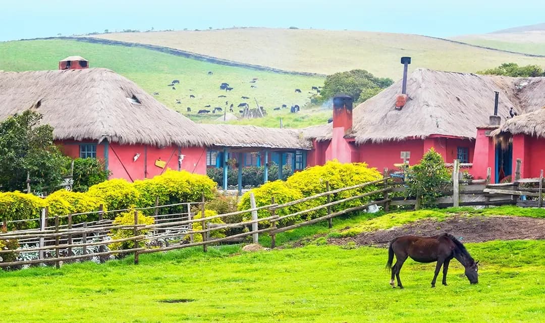 Why Visit Ecuador?