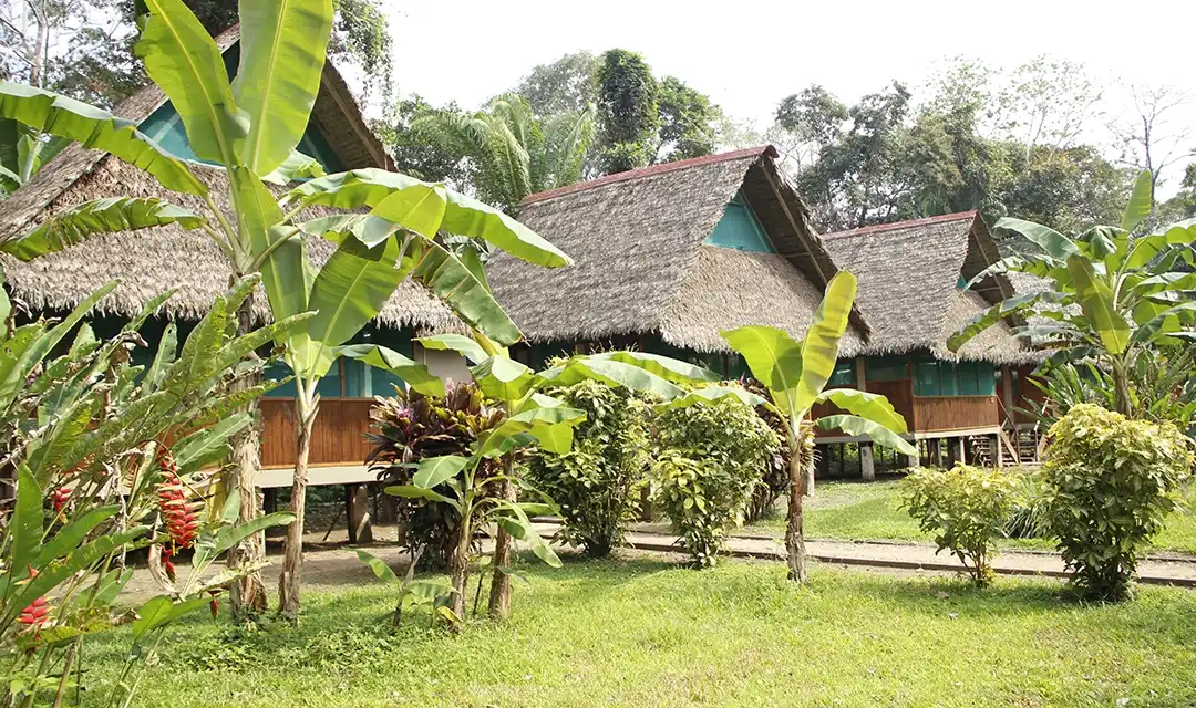Peruvian Amazon and Andes