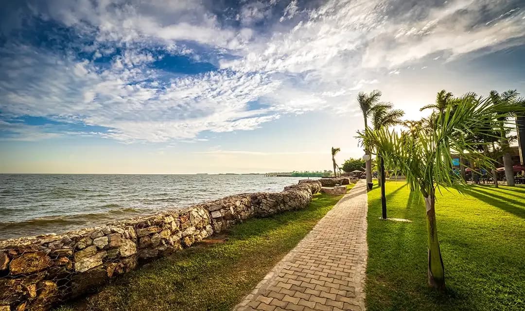 Entebbe – You’ve Arrived