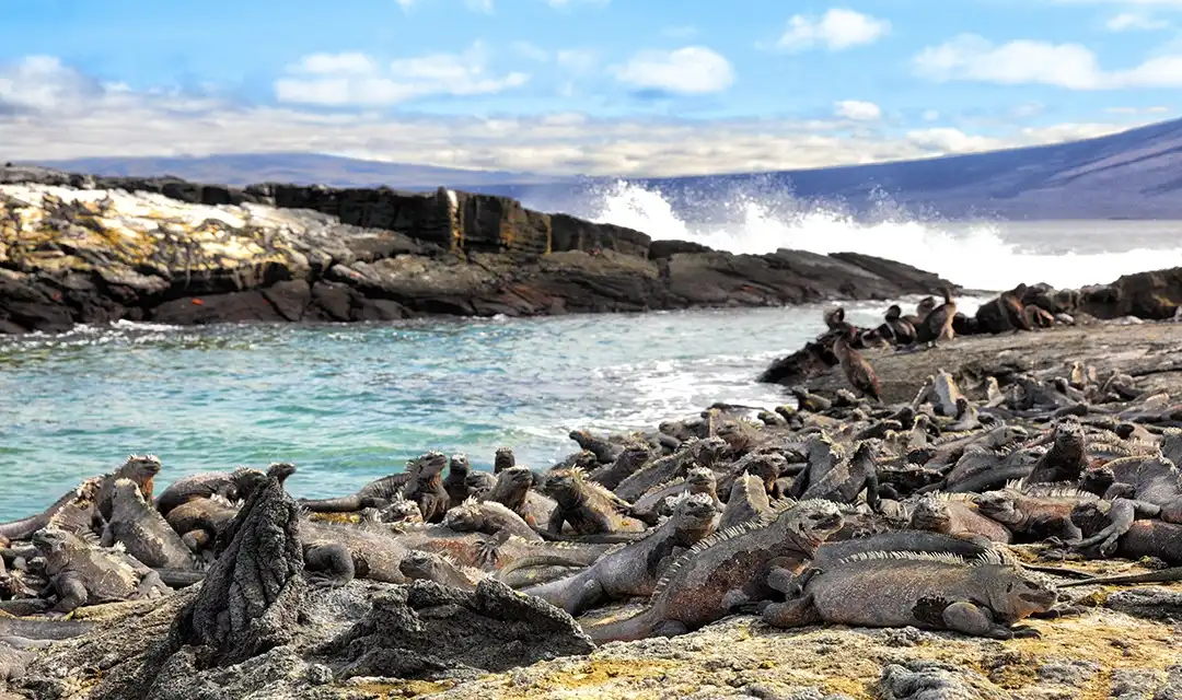 Galapagos Cruise on The Archipel I