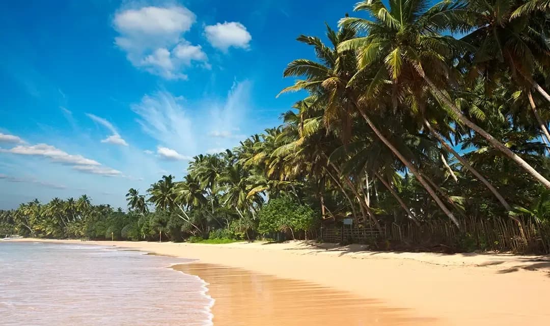Colombo
