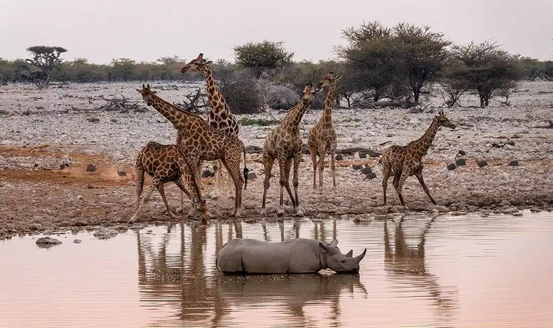 Luxury Namibia Flying Safari