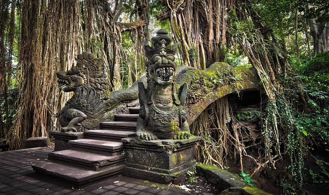 Islands and Jungles
