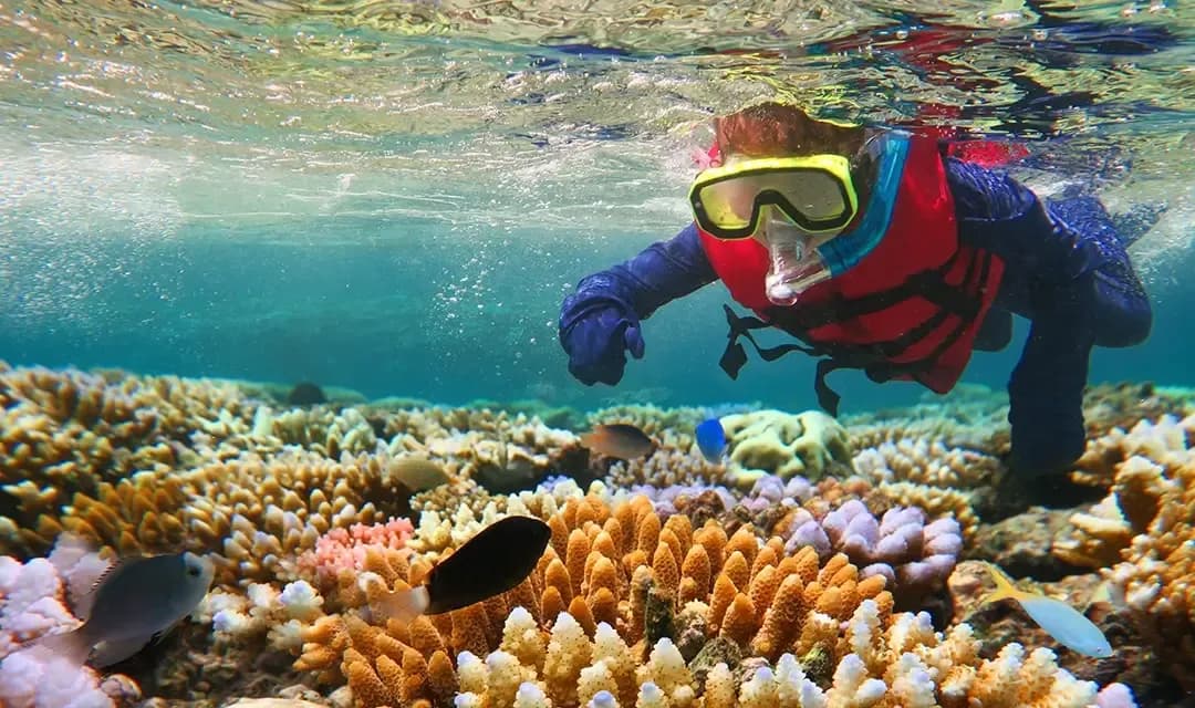 Why Visit Australia?