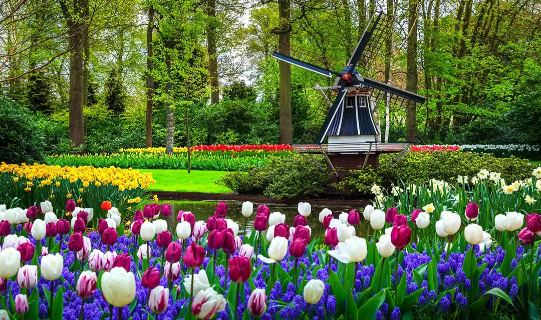 Just Amsterdam