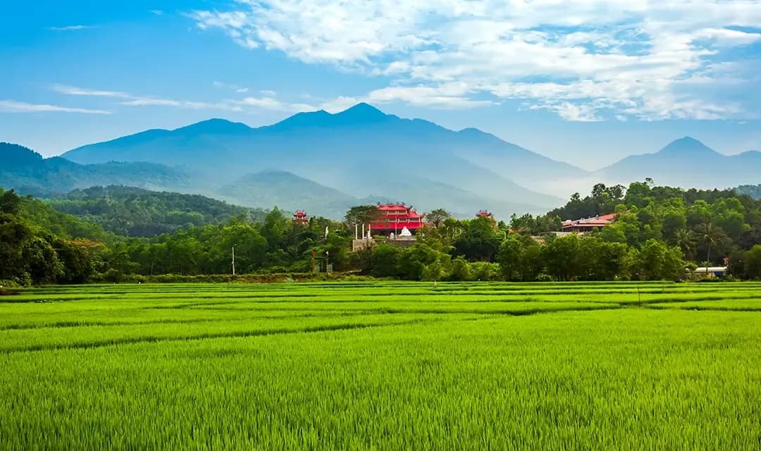 Essential Vietnam Tour