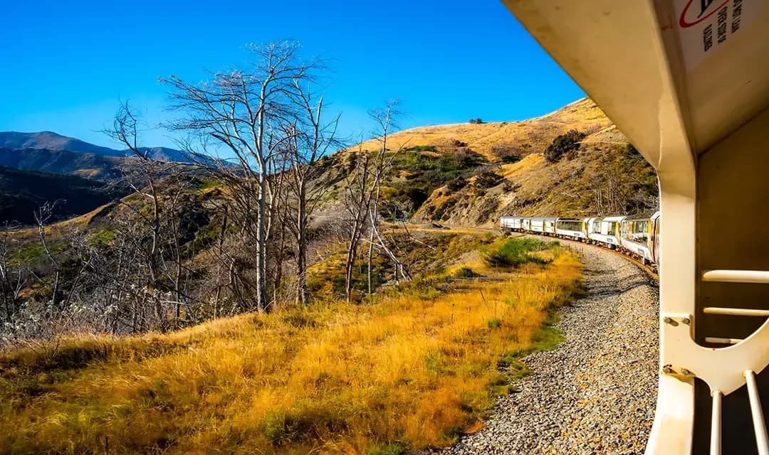 Why Visit New Zealand?