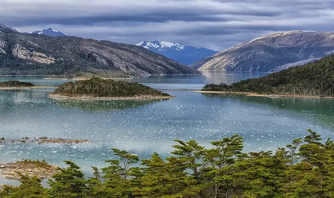 Fjords, Glaciers and Penguins