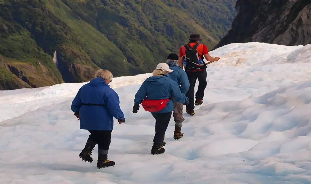 New Zealand Highlights
