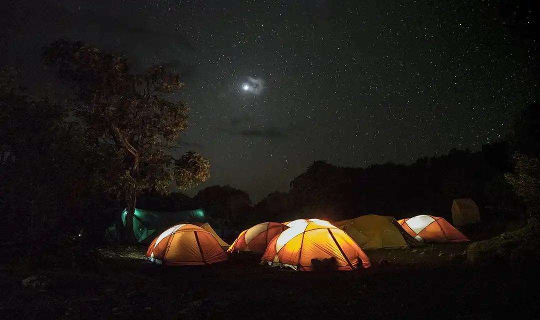 Kilimanjaro & Safari